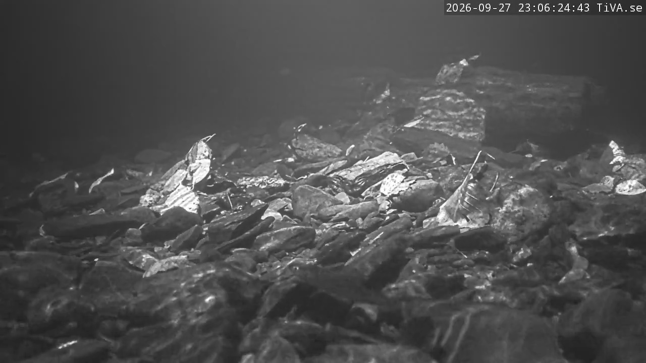 Video 2026-09-27 23:06