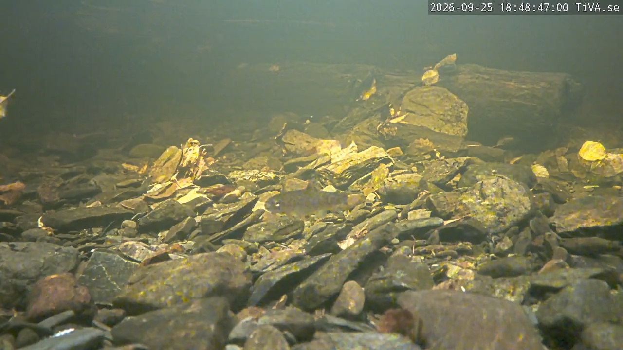 Video 2026-09-25 18:48