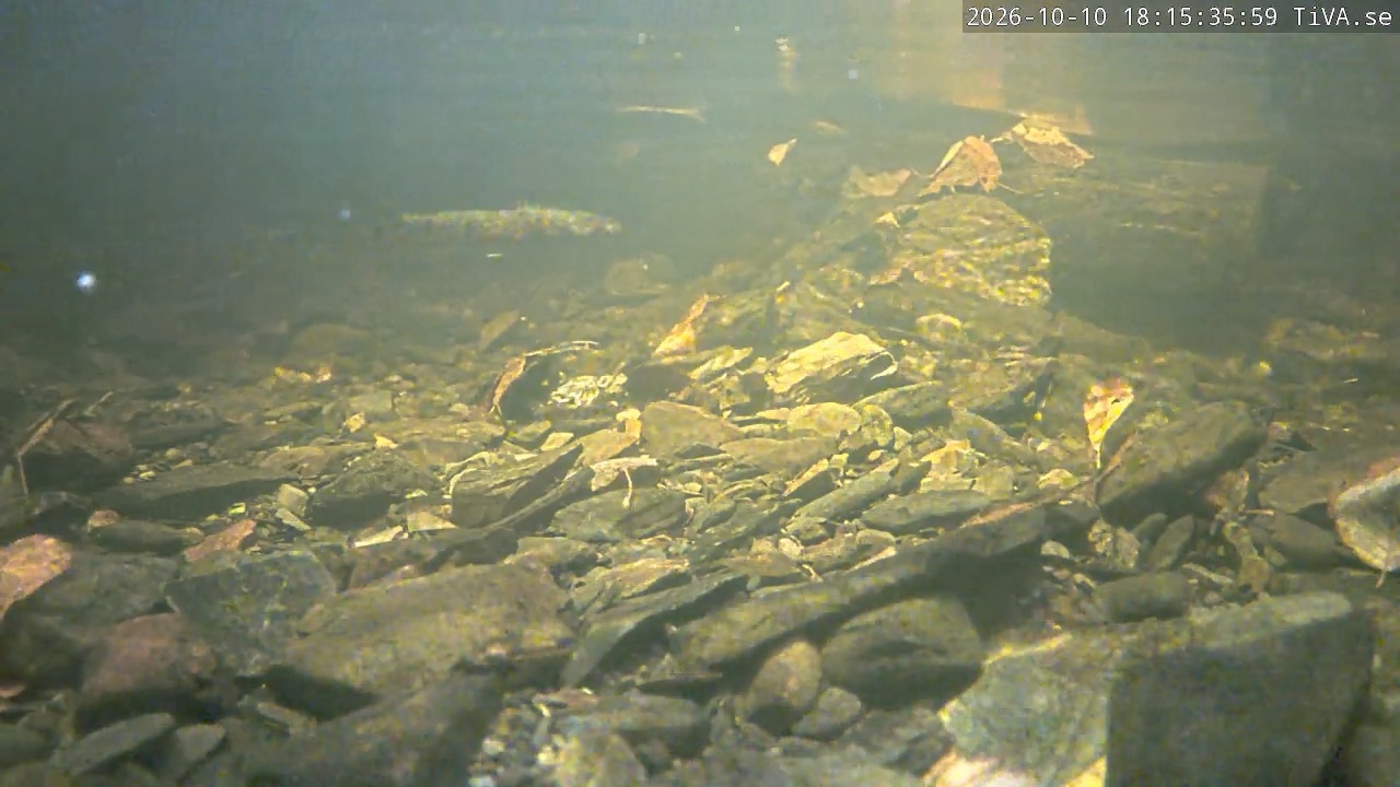 Video 2026-10-10 18:15