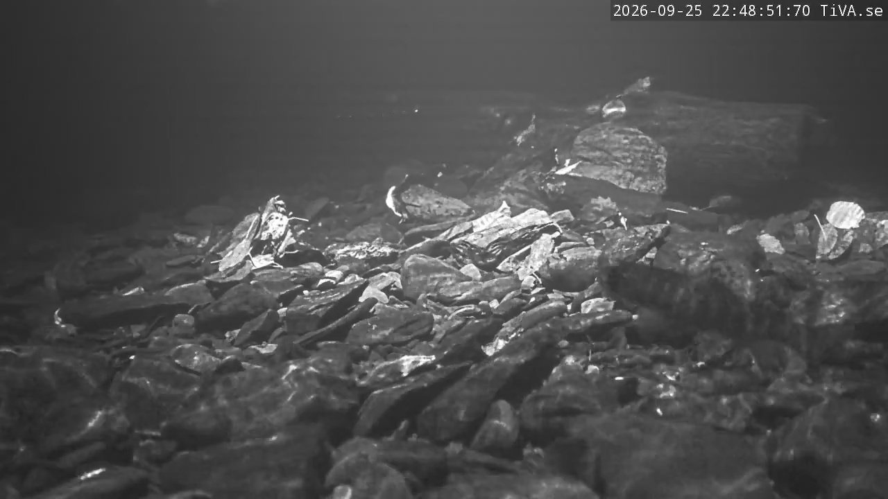 Video 2026-09-25 22:48