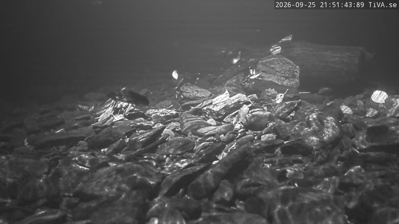 Video 2026-09-25 21:51