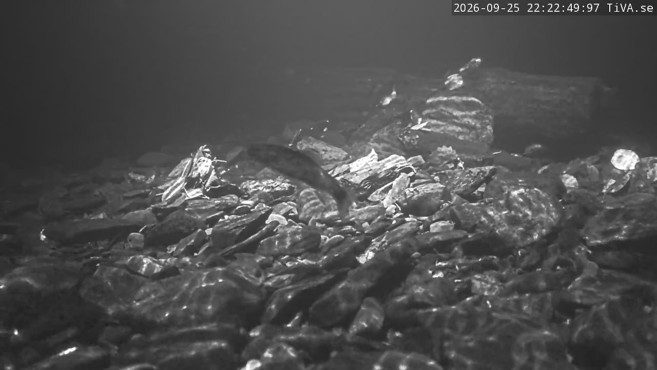 Video 2026-09-25 22:22