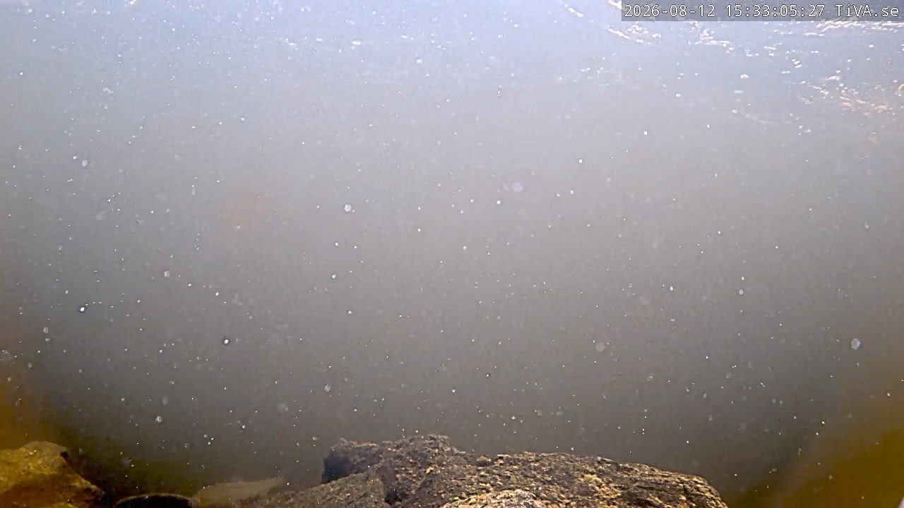 Video 2026-08-12 15:33