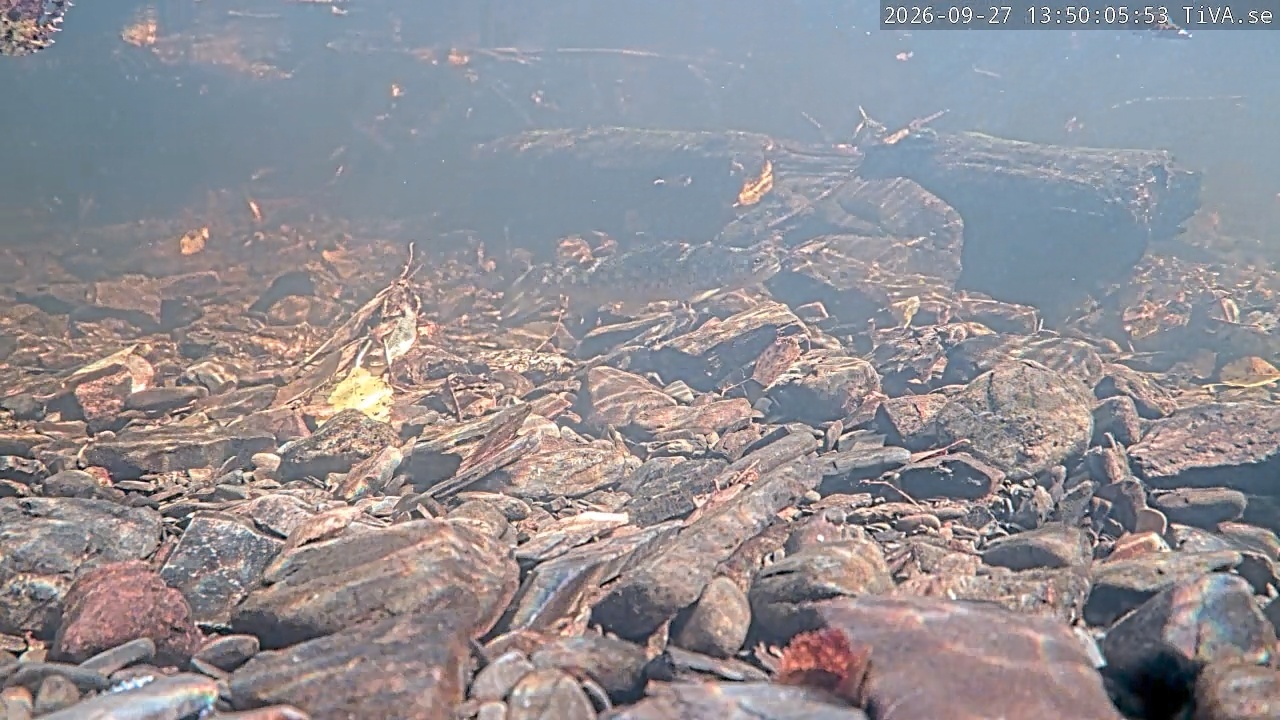 Video 2026-09-27 13:50