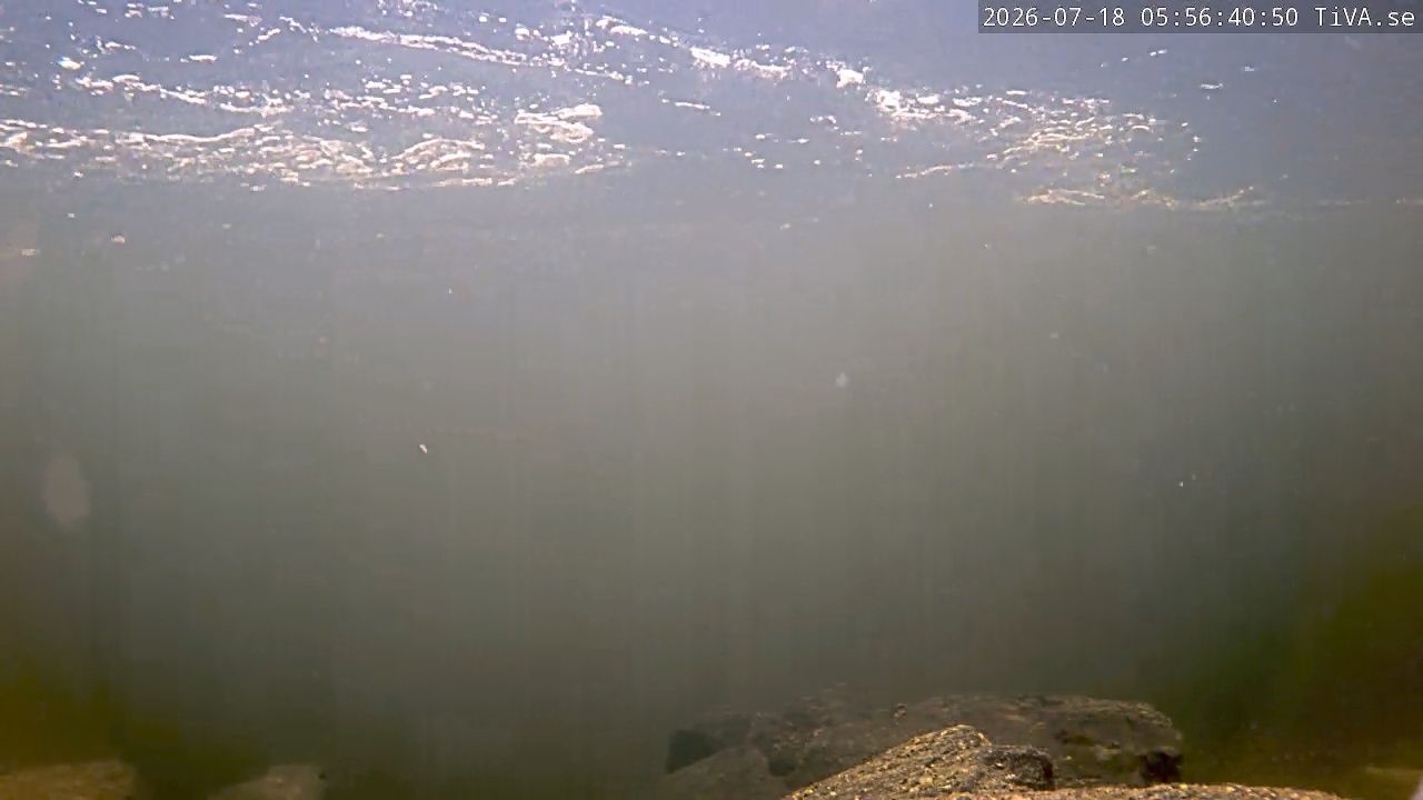 Video 2026-07-18 05:56