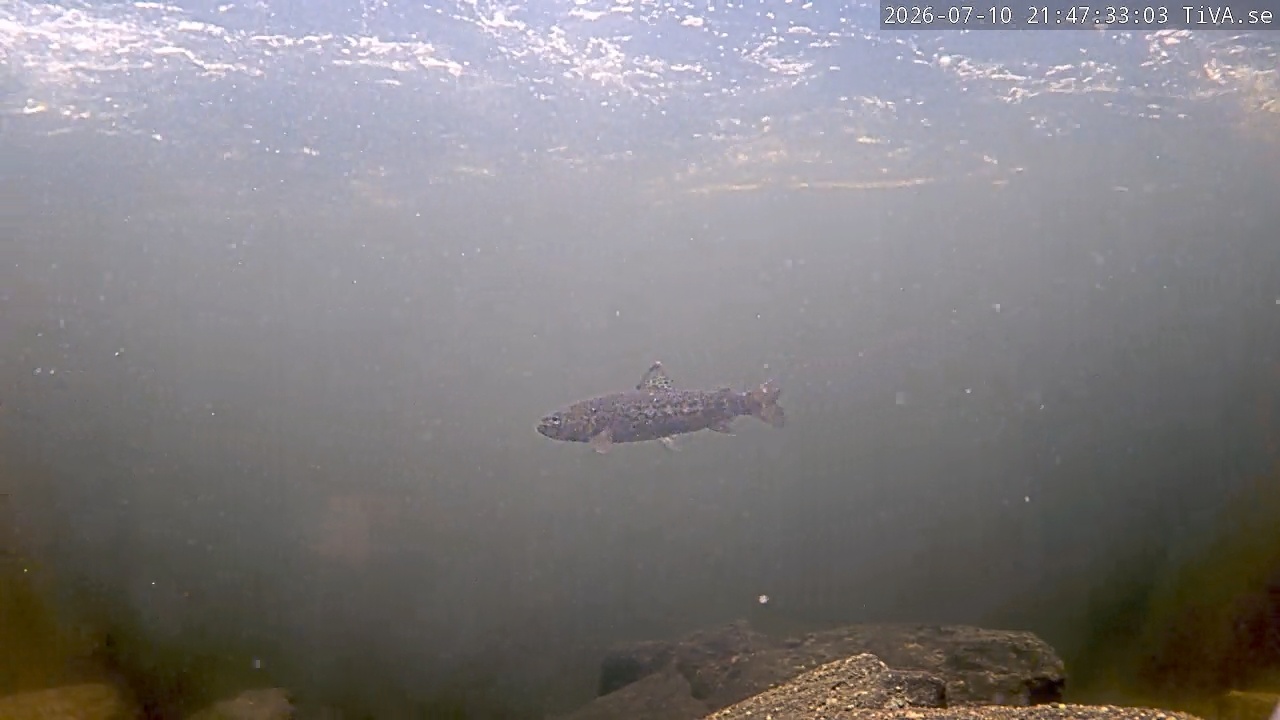 Video 2026-07-10 21:47