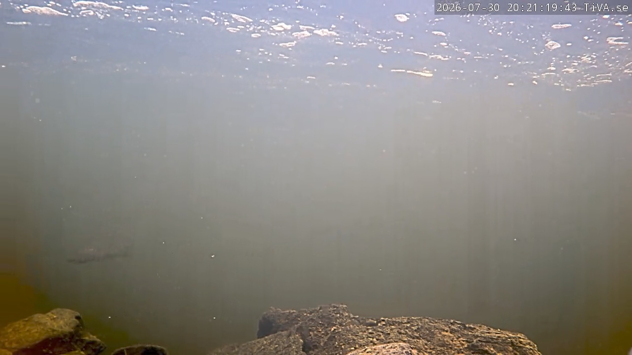 Video 2026-07-30 20:21