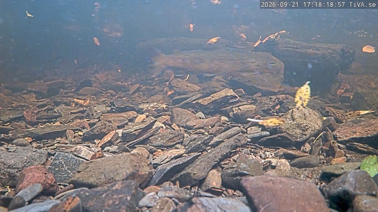 Video 2026-09-21 17:18