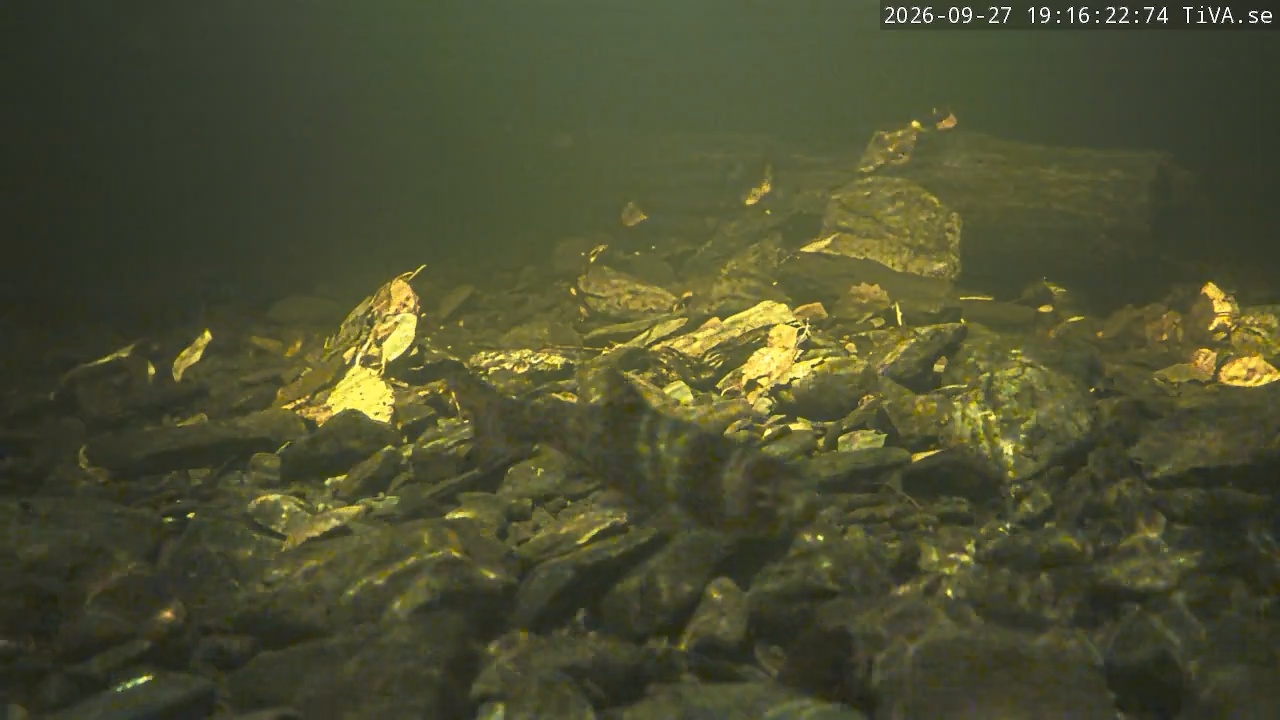 Video 2026-09-27 19:16
