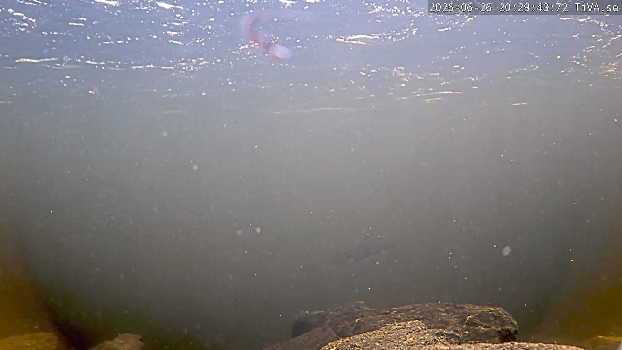 Video 2026-06-26 20:29