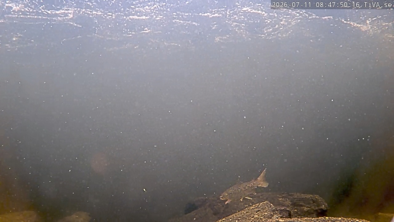 Video 2026-07-11 08:47
