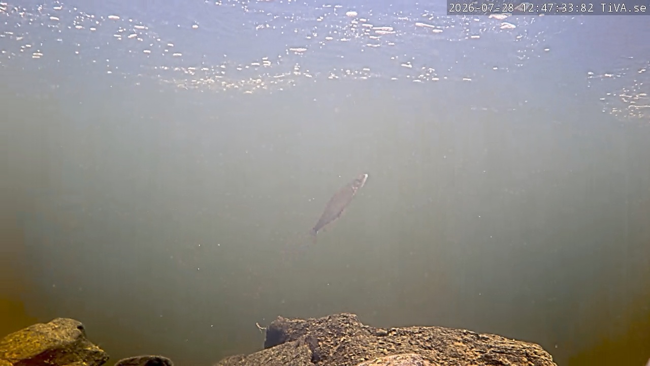 Video 2026-07-28 12:47