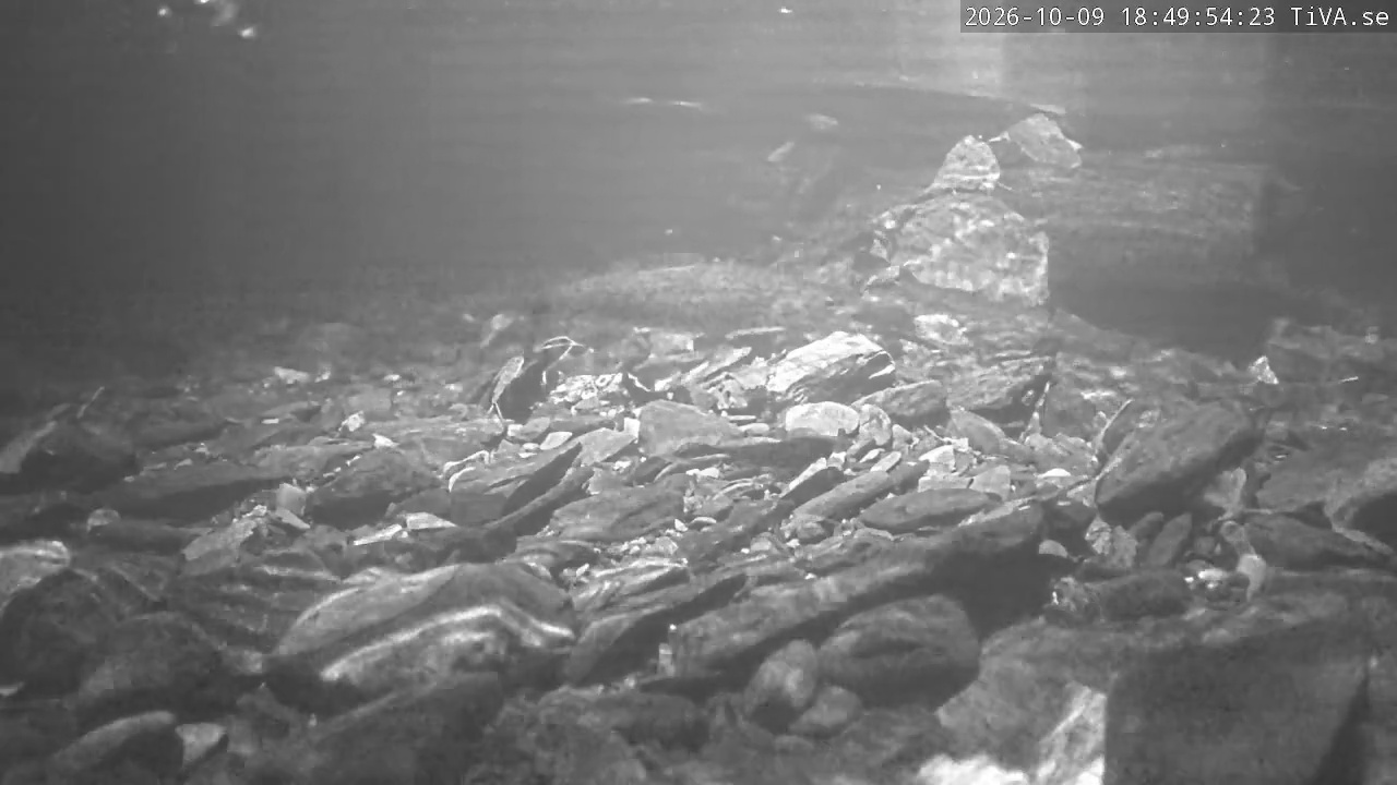 Video 2026-10-09 18:49