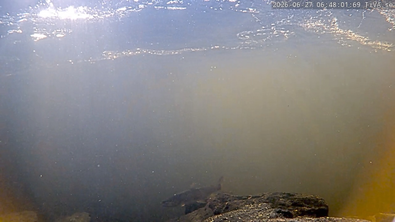 Video 2026-06-27 06:48