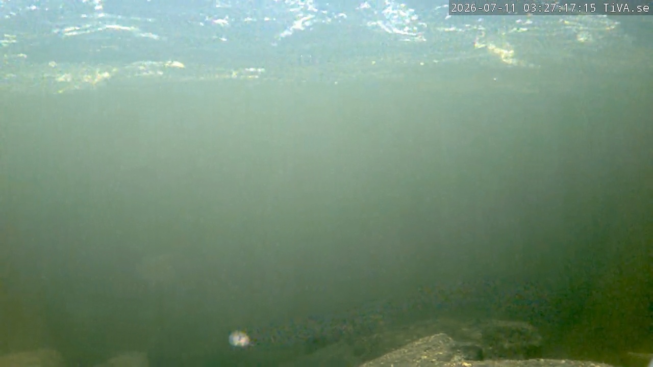 Video 2026-07-11 03:27
