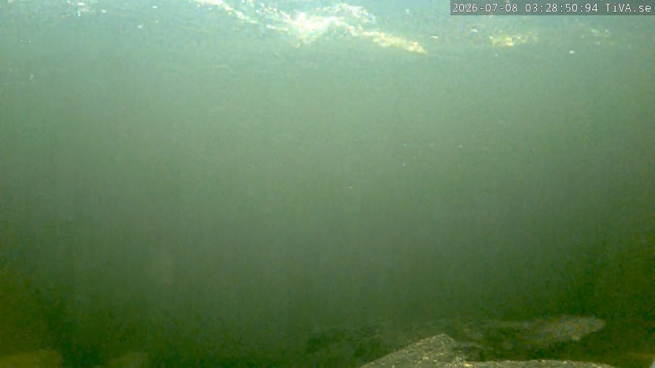 Video 2026-07-08 03:28