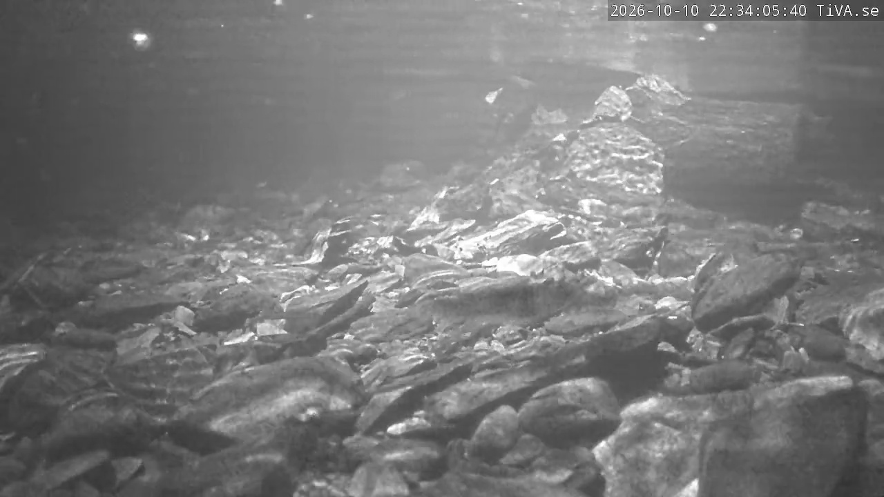 Video 2026-10-10 22:34
