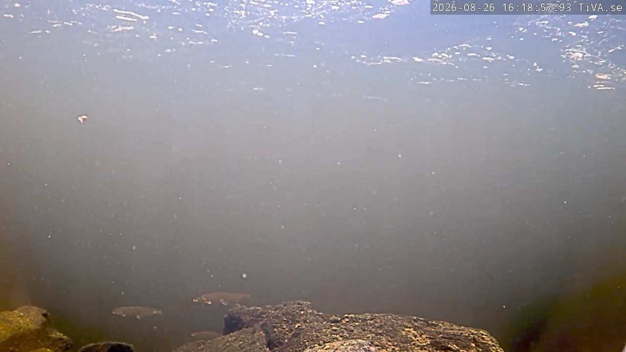 Video 2026-08-26 16:19