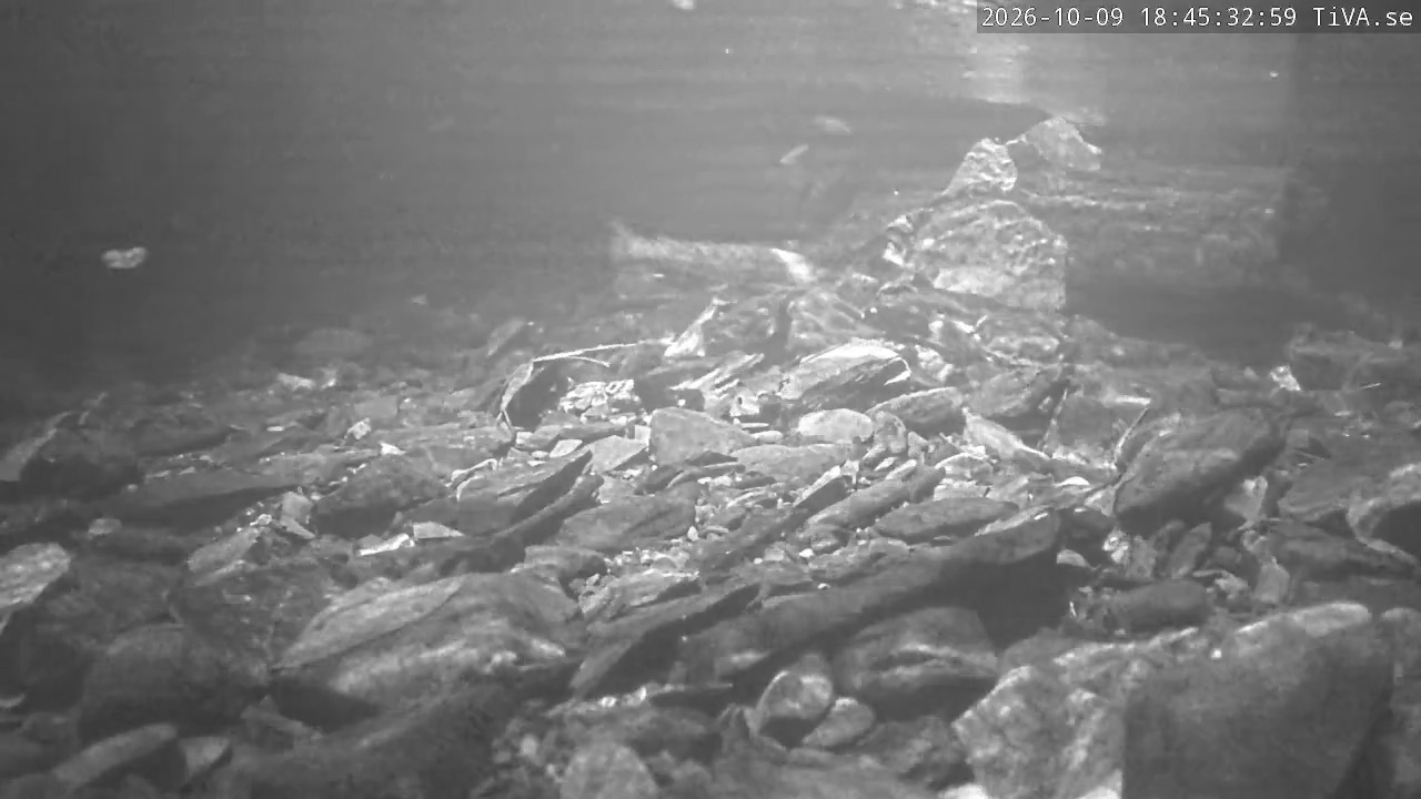 Video 2026-10-09 18:45