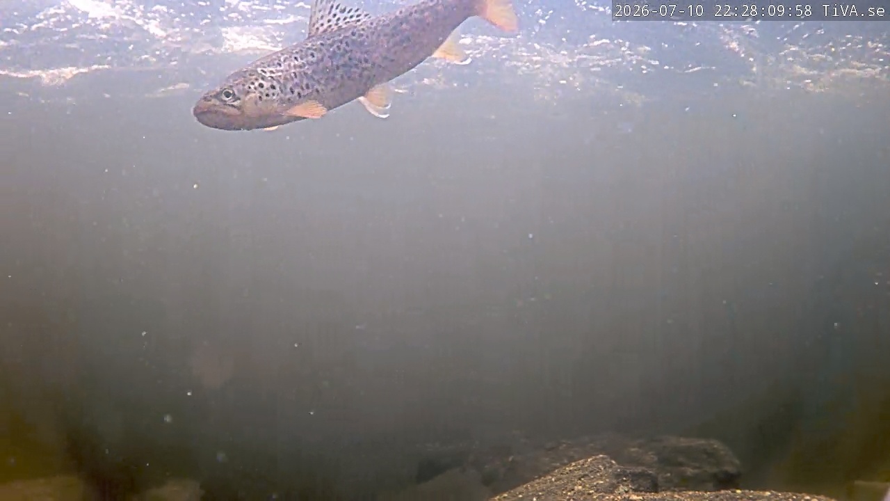Video 2026-07-10 22:28