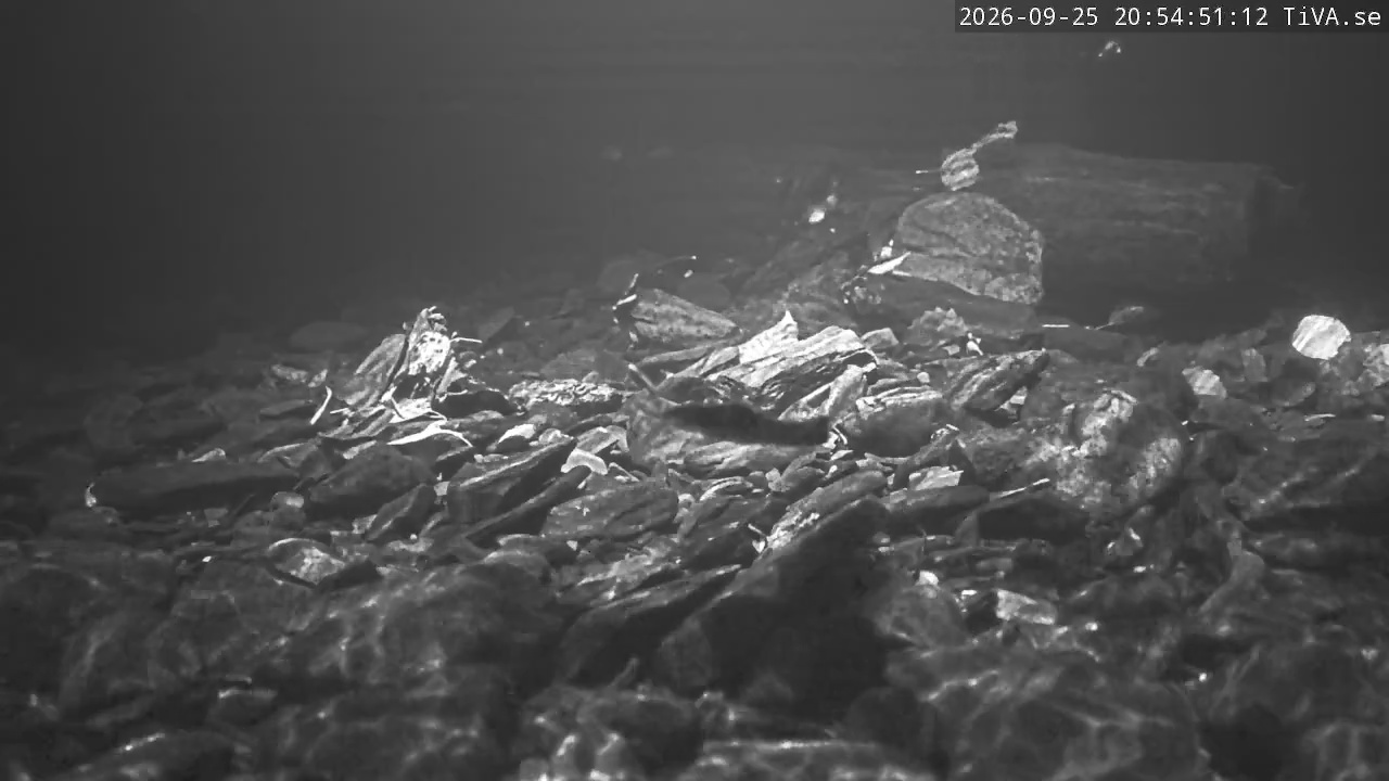 Video 2026-09-25 20:54