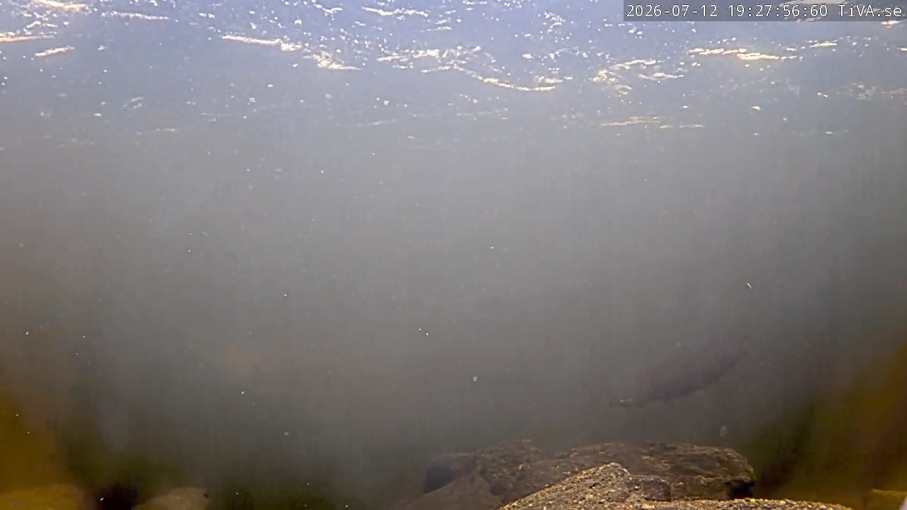 Video 2026-07-12 19:28