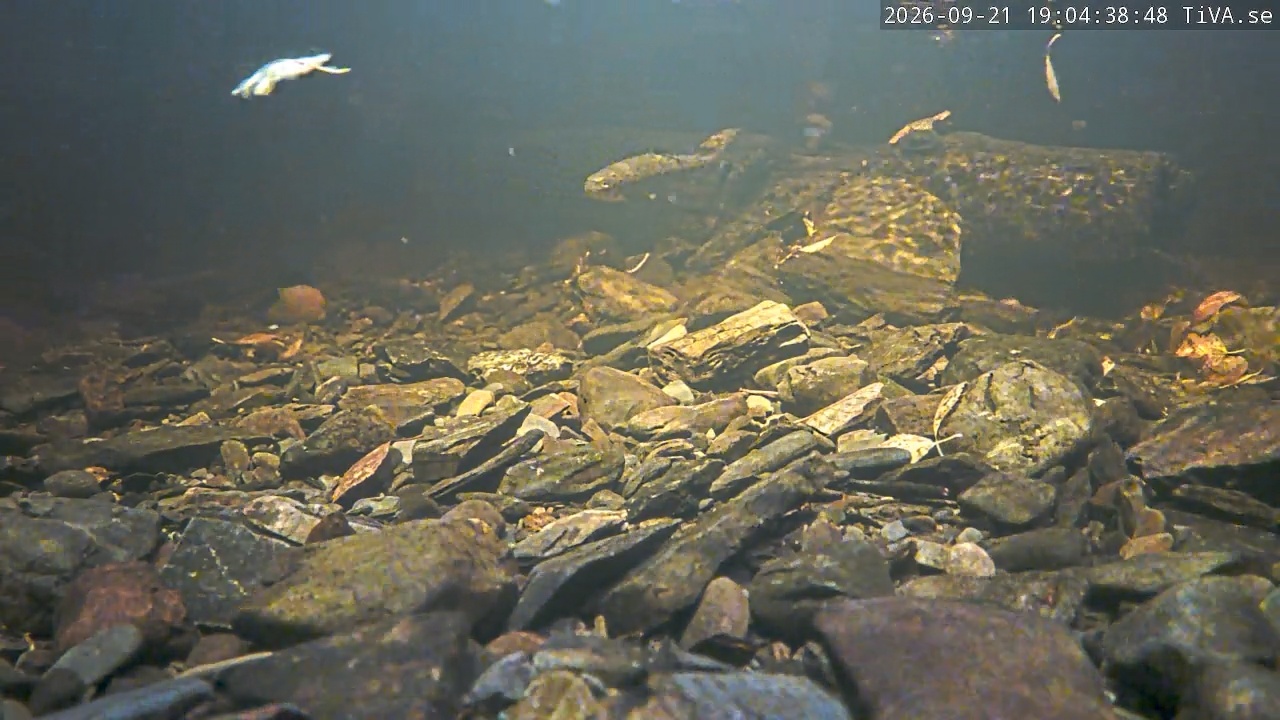 Video 2026-09-21 19:04