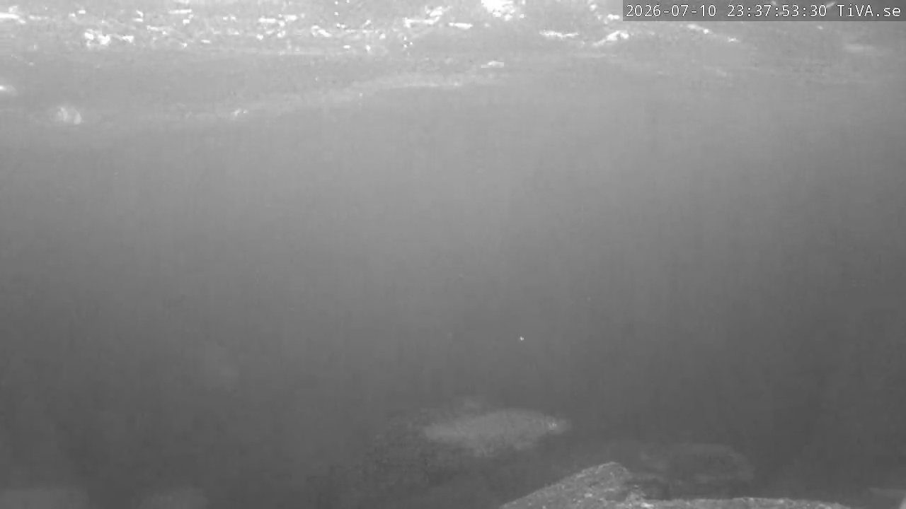 Video 2026-07-10 23:37