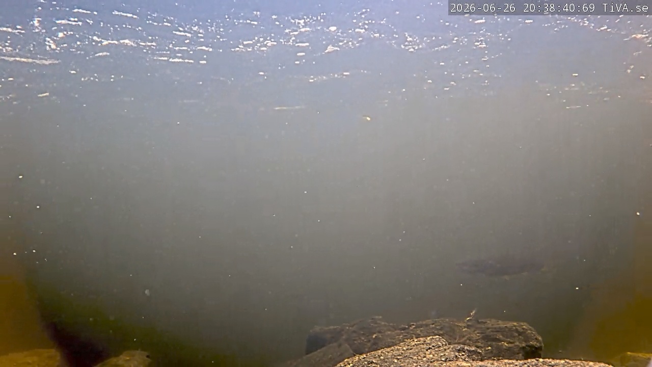 Video 2026-06-26 20:38