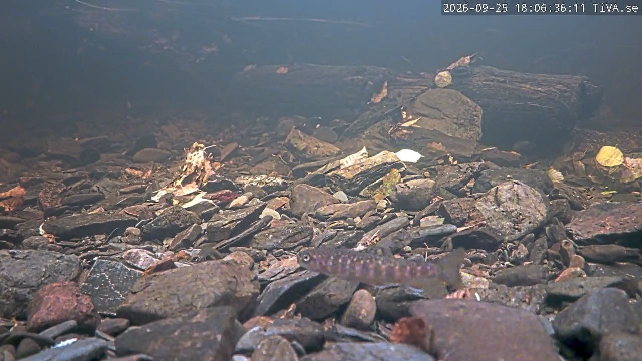 Video 2026-09-25 18:06