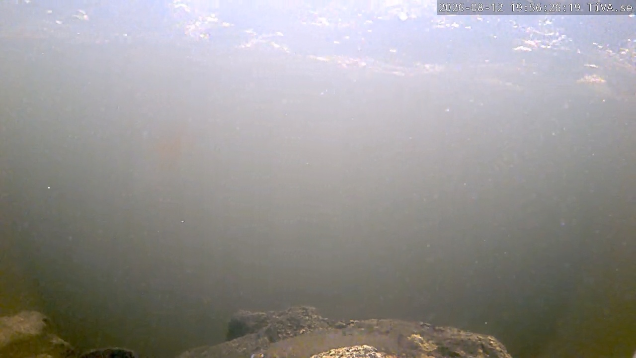 Video 2026-08-12 19:56