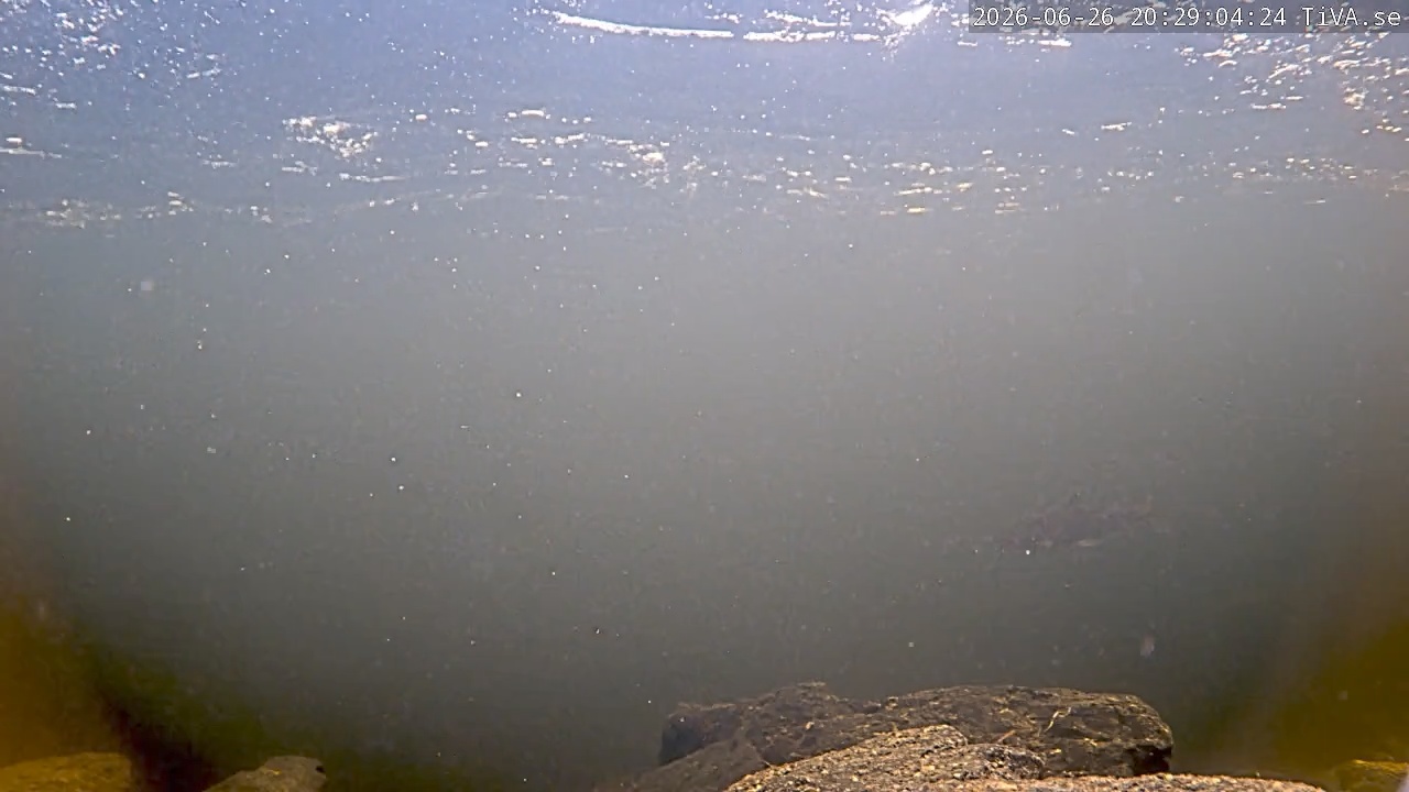 Video 2026-06-26 20:29