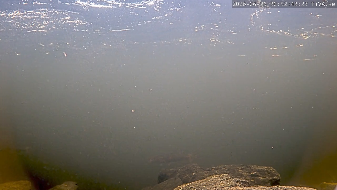 Video 2026-06-26 20:52