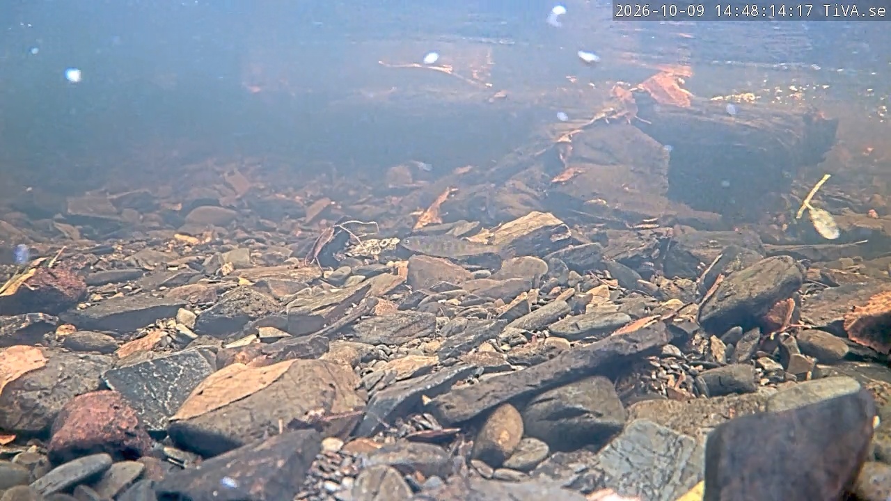 Video 2026-10-09 14:48