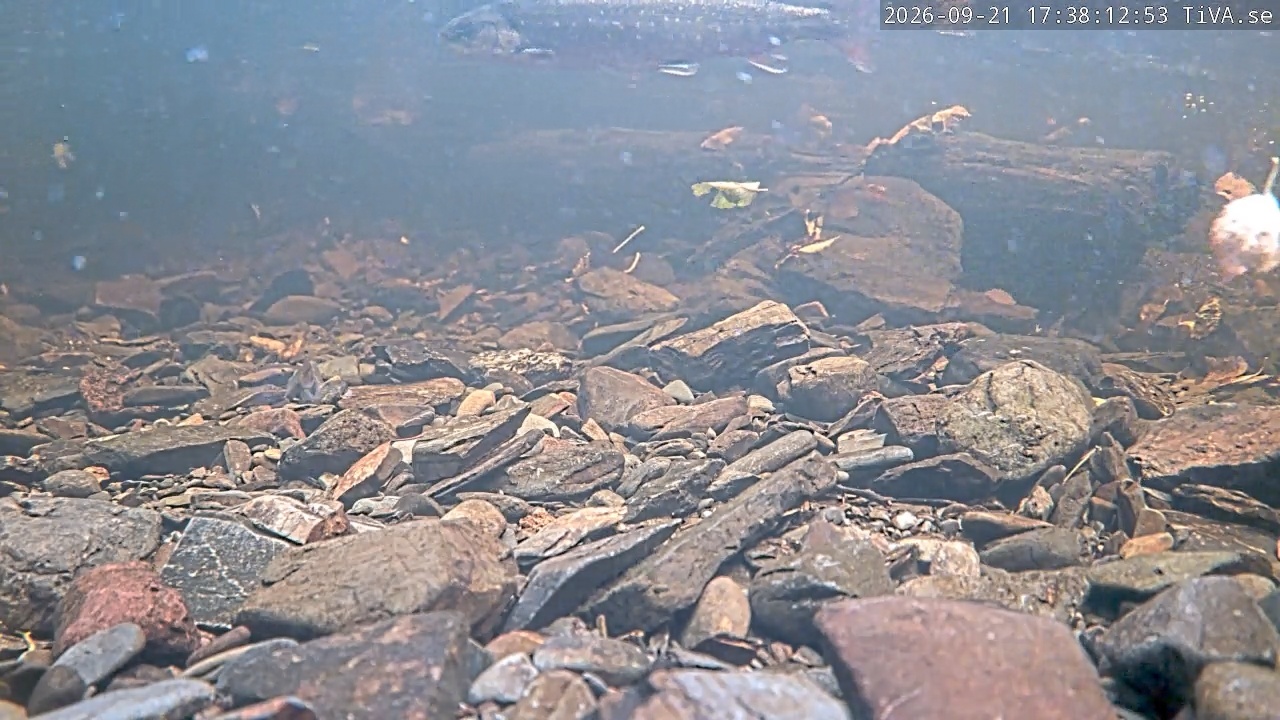 Video 2026-09-21 17:38