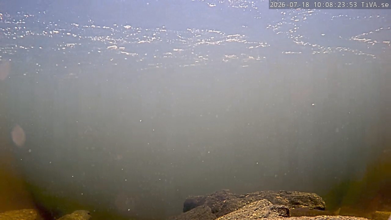 Video 2026-07-18 10:08