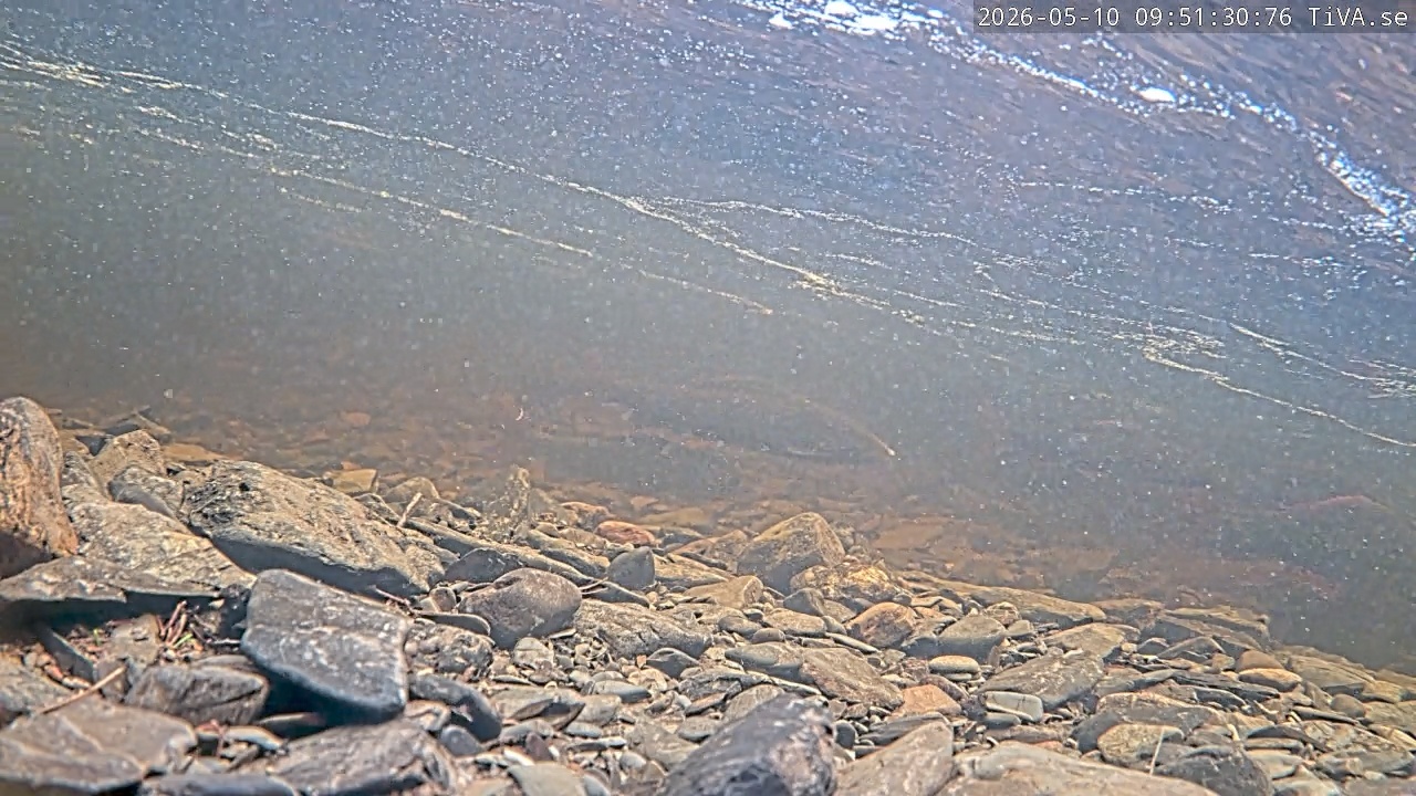 Video 2026-05-10 09:51
