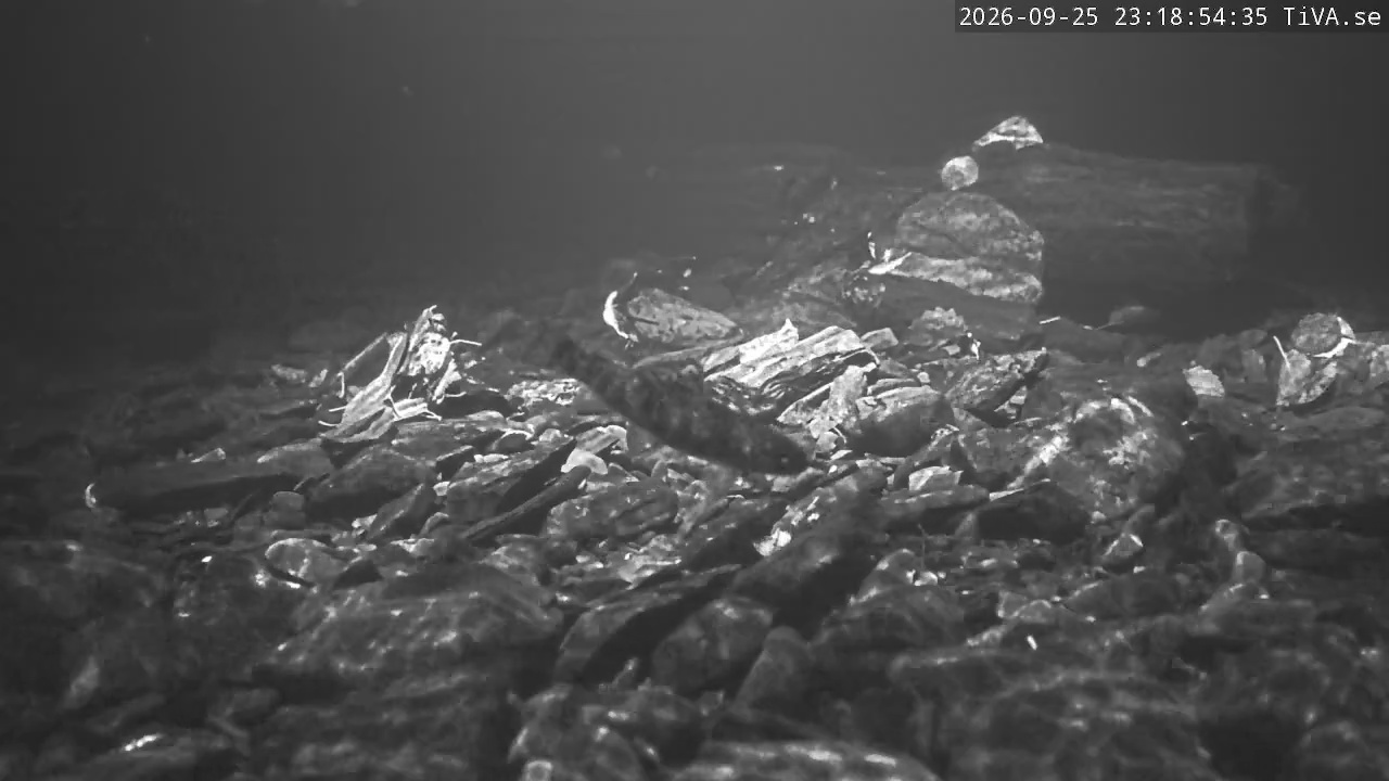 Video 2026-09-25 23:18