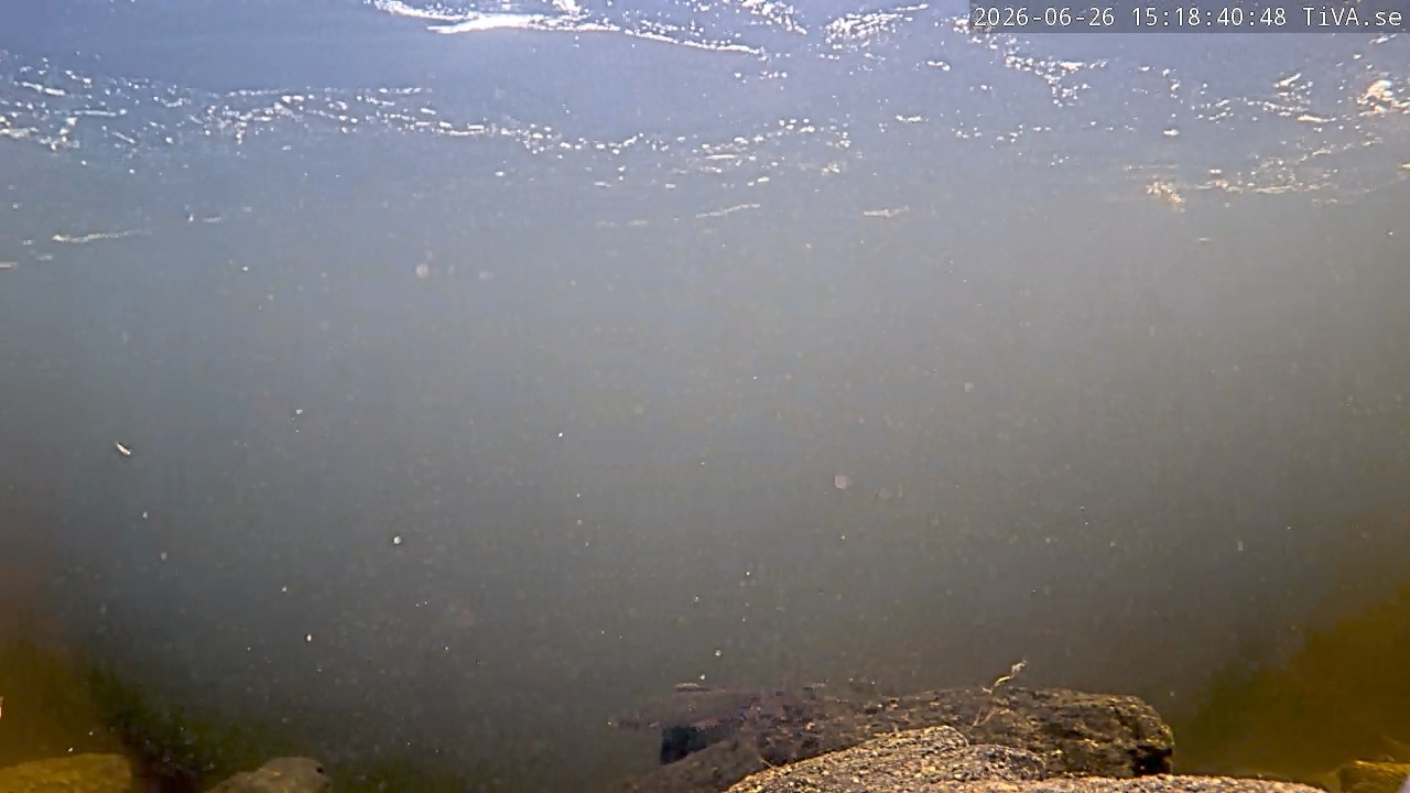 Video 2026-06-26 15:18
