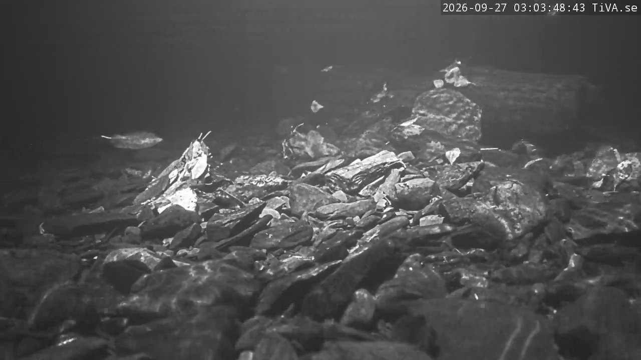 Video 2026-09-27 03:03