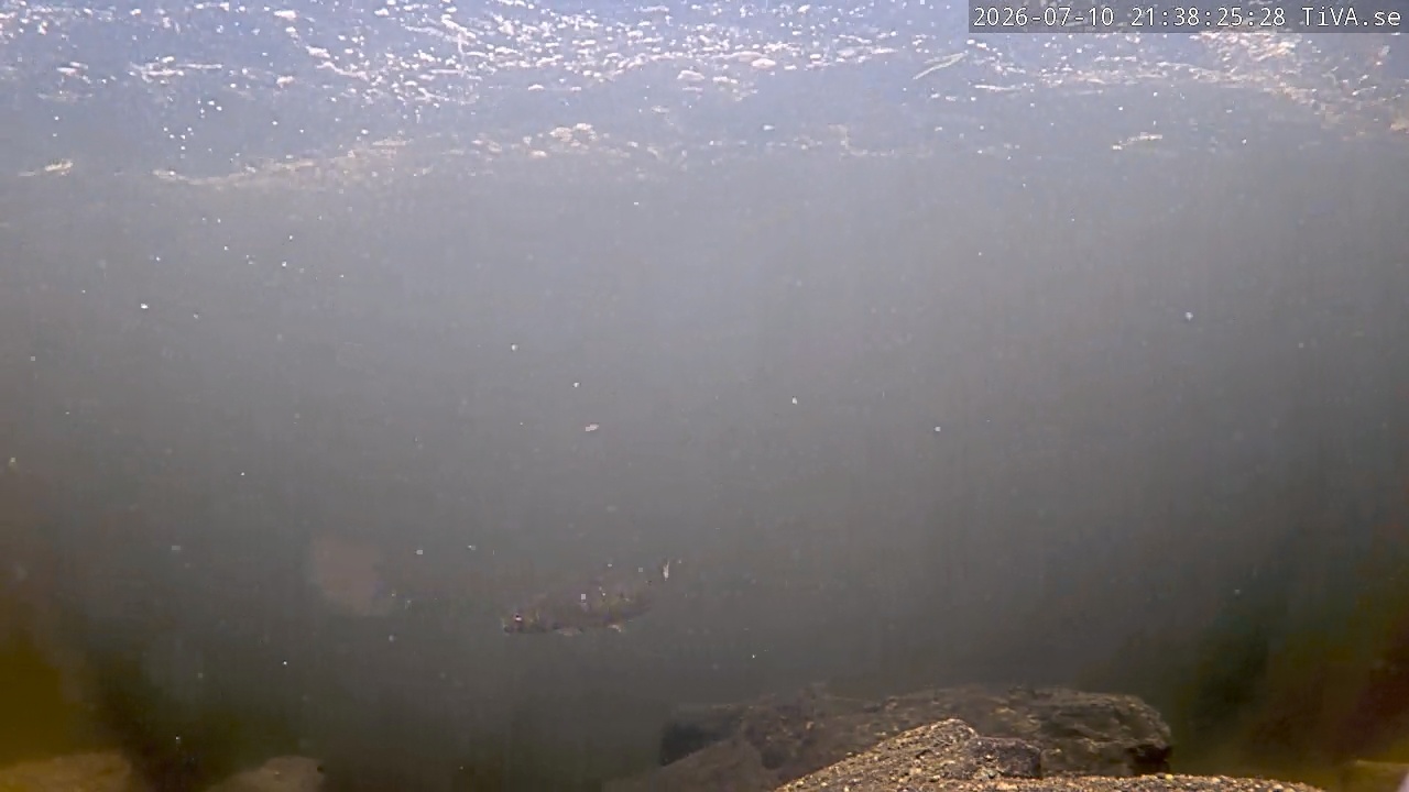 Video 2026-07-10 21:38