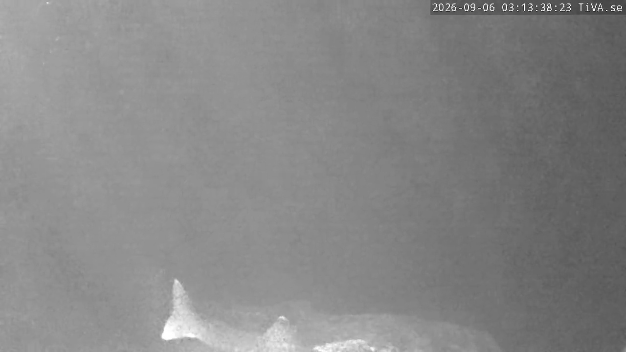 Video 2026-09-06 03:13