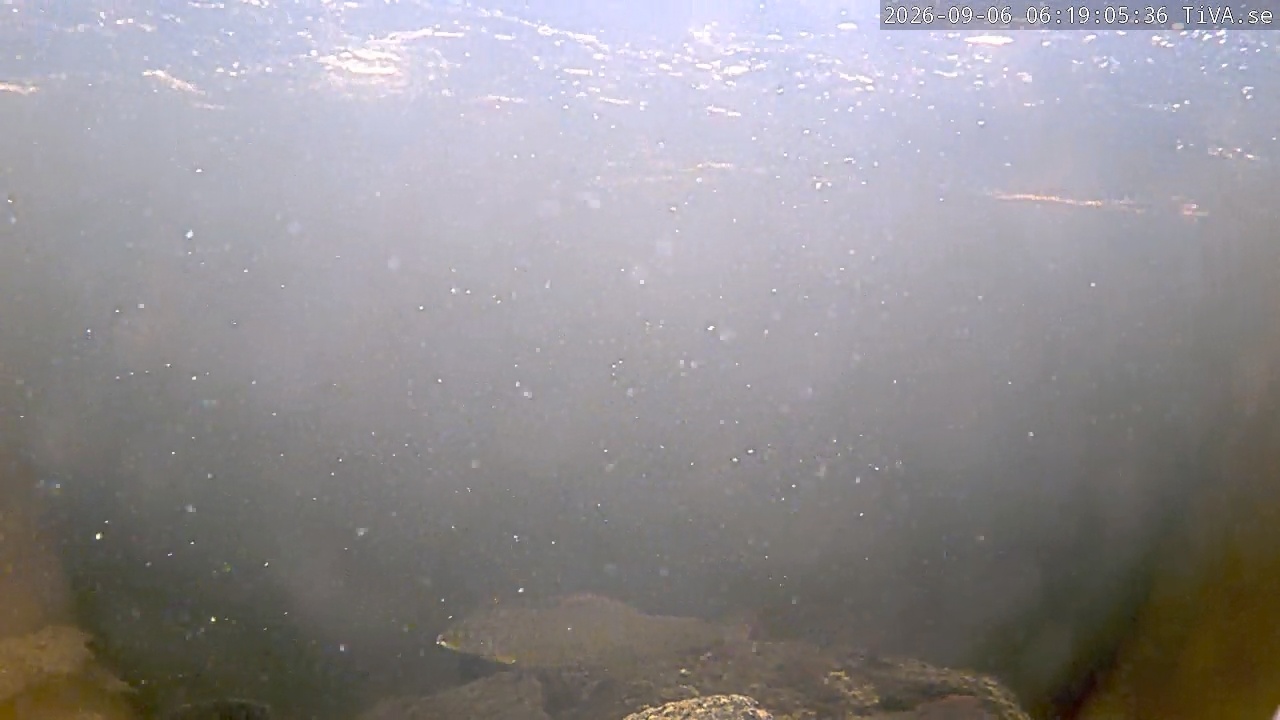 Video 2026-09-06 06:19