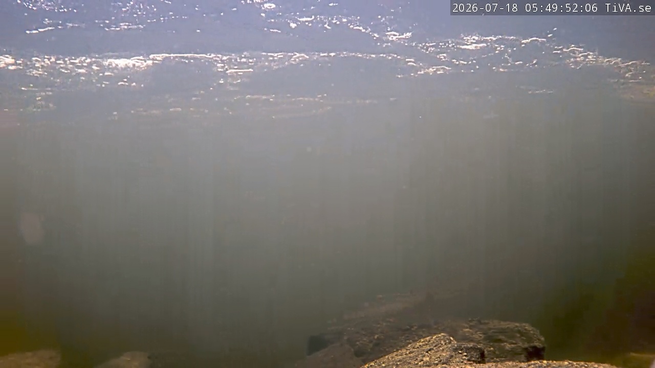 Video 2026-07-18 05:49