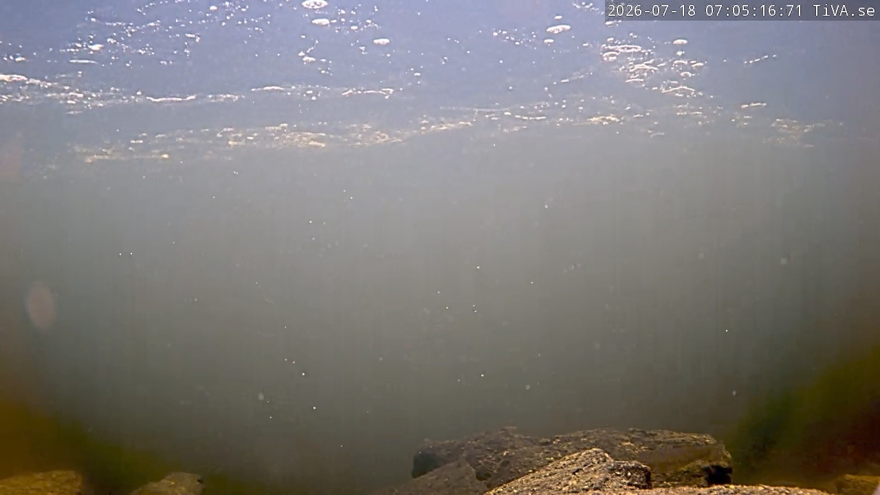 Video 2026-07-18 07:05