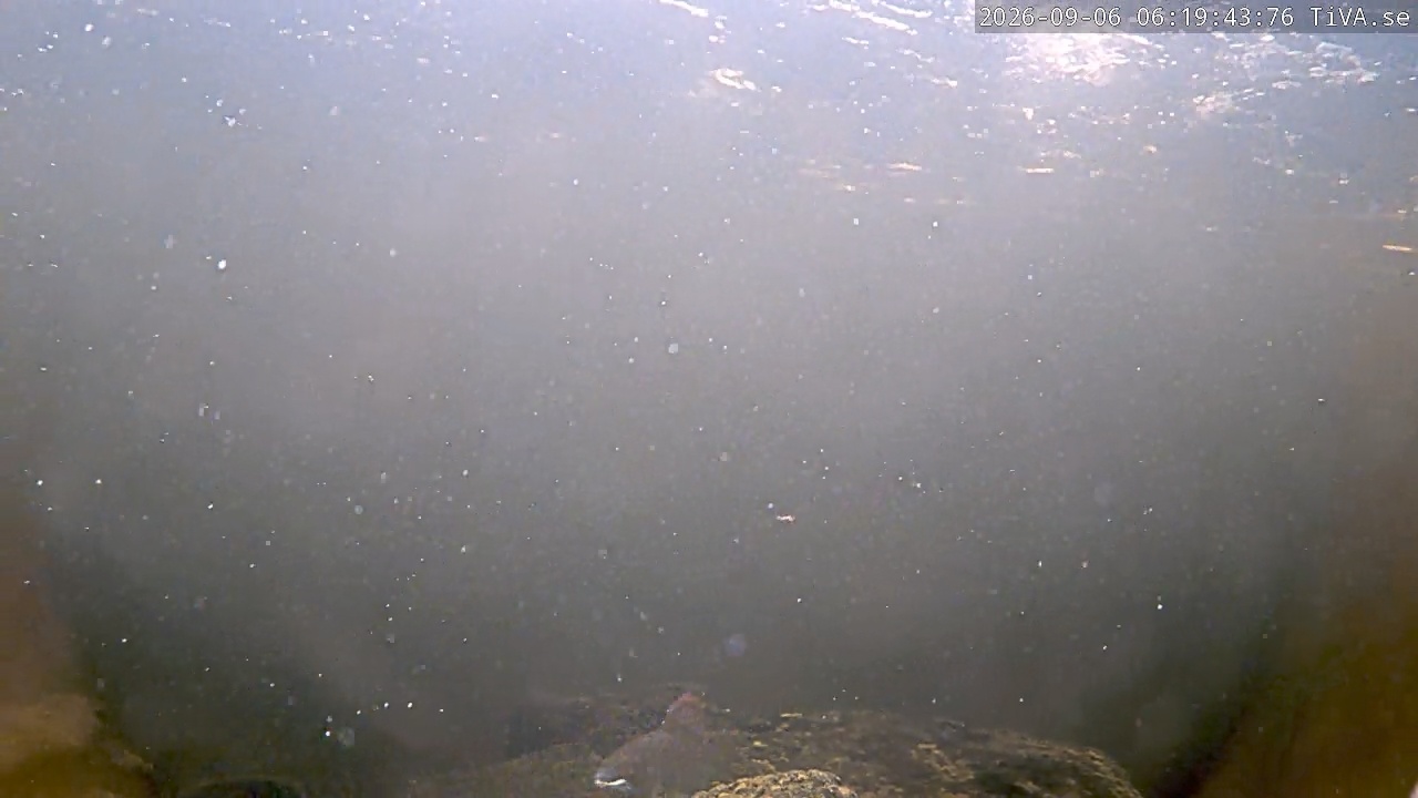 Video 2026-09-06 06:19