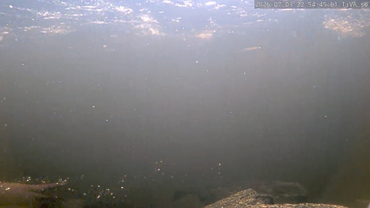 Video 2026-07-03 22:54