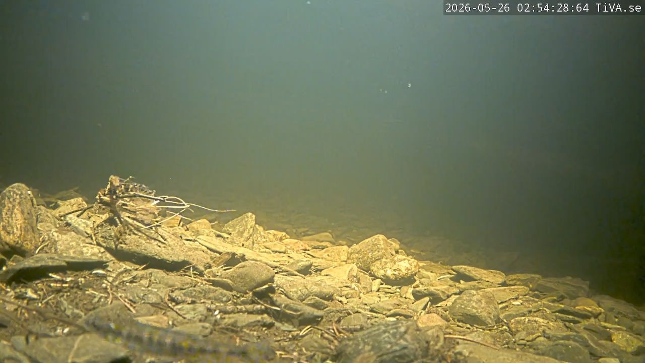Video 2026-05-26 02:54