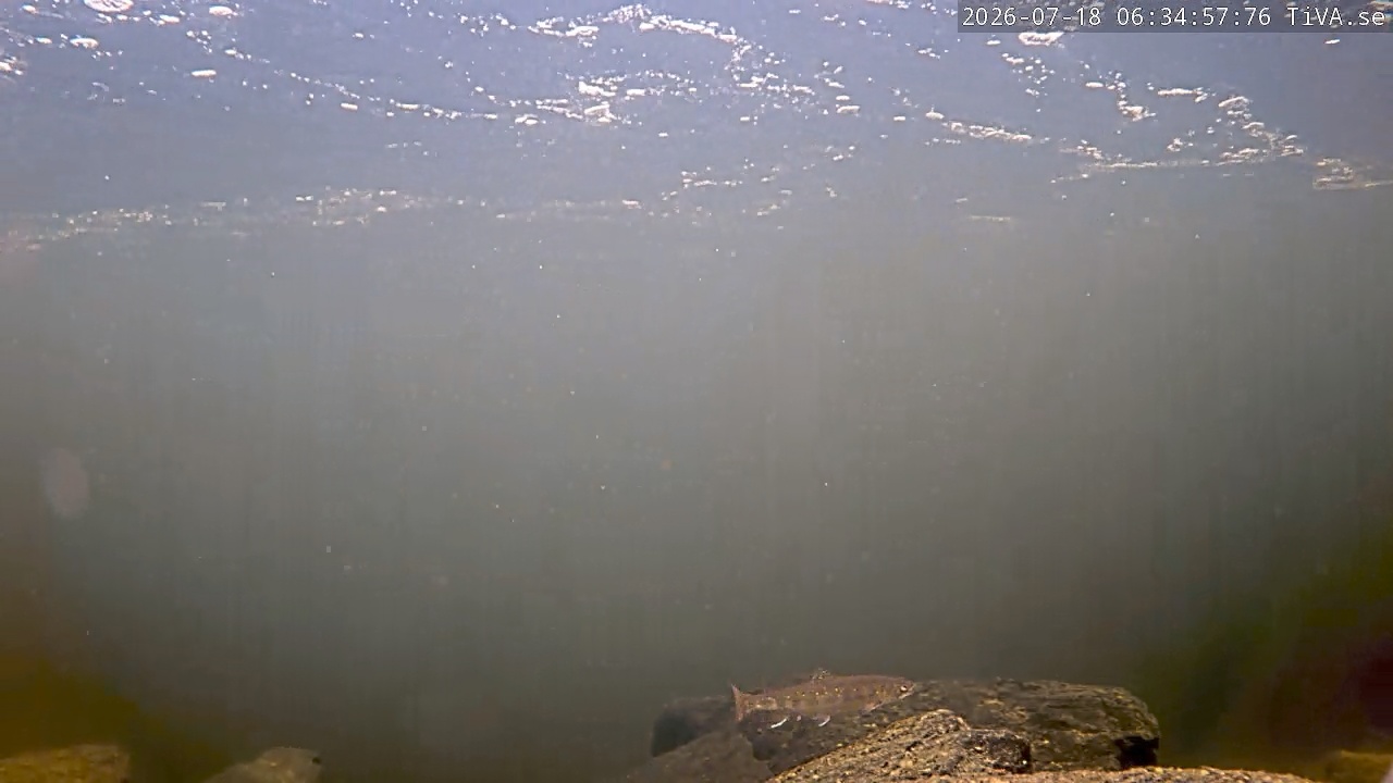 Video 2026-07-18 06:35