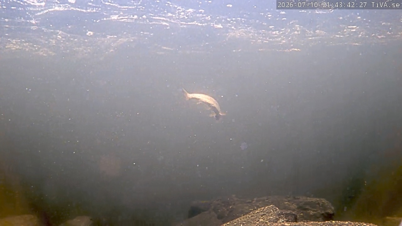 Video 2026-07-10 21:43